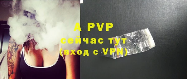 сатива Белоозёрский