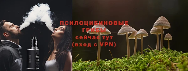 Альфа ПВП Белокуриха