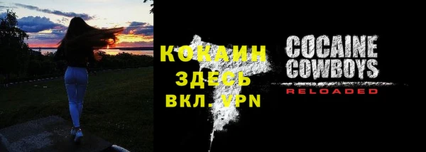 сатива Белоозёрский