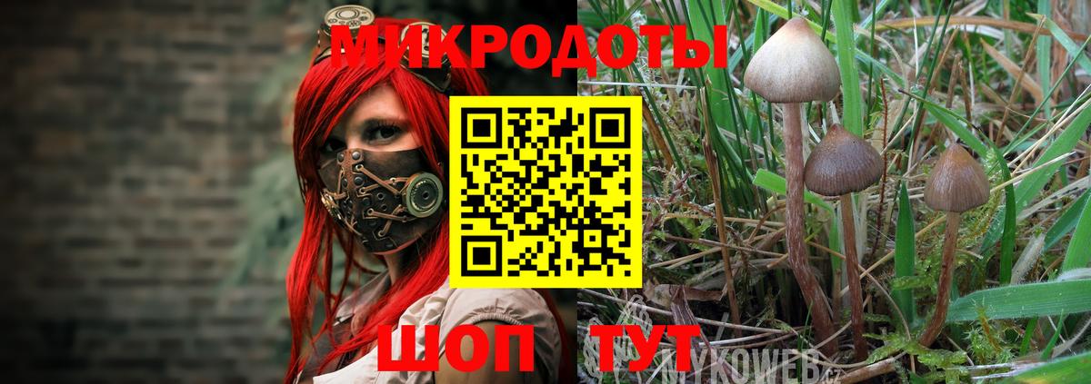 Галлюциногенные грибы Psilocybine cubensis  Галлюциногенные грибы Psilocybe  Кушва  Вход с VPN 
