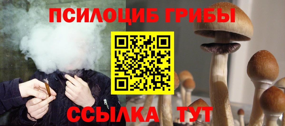 Псилоцибиновые грибы Cubensis Кушва